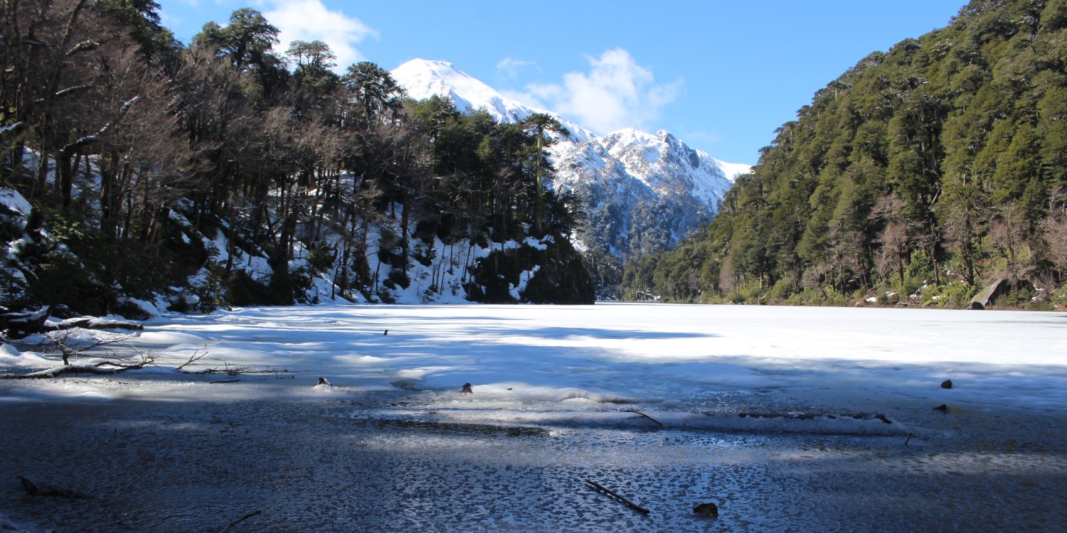 Nature and well-being in Huerquehue National Park