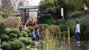 5 family activities for your visit to Santiago: Museums and parks