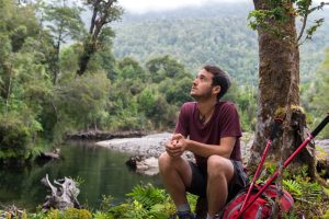 Parque Nacional Alerce Andino: una reserva de milenaria flora nativa
