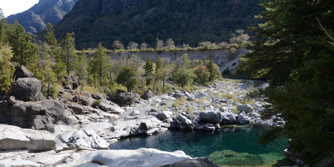 Nature and adventure in the Ñuble National Reserve 