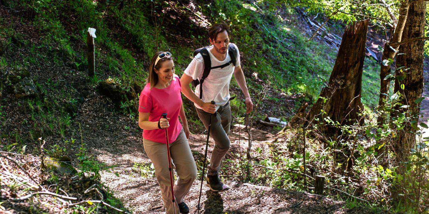 Scenic routes and mountain lagoons in Liquiñe 